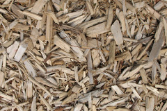 biomass boilers Windrush